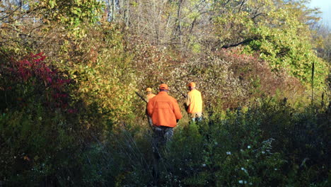 hombres que llevan rifles entran en un bosque mientras cazan faisanes de cuello anillado