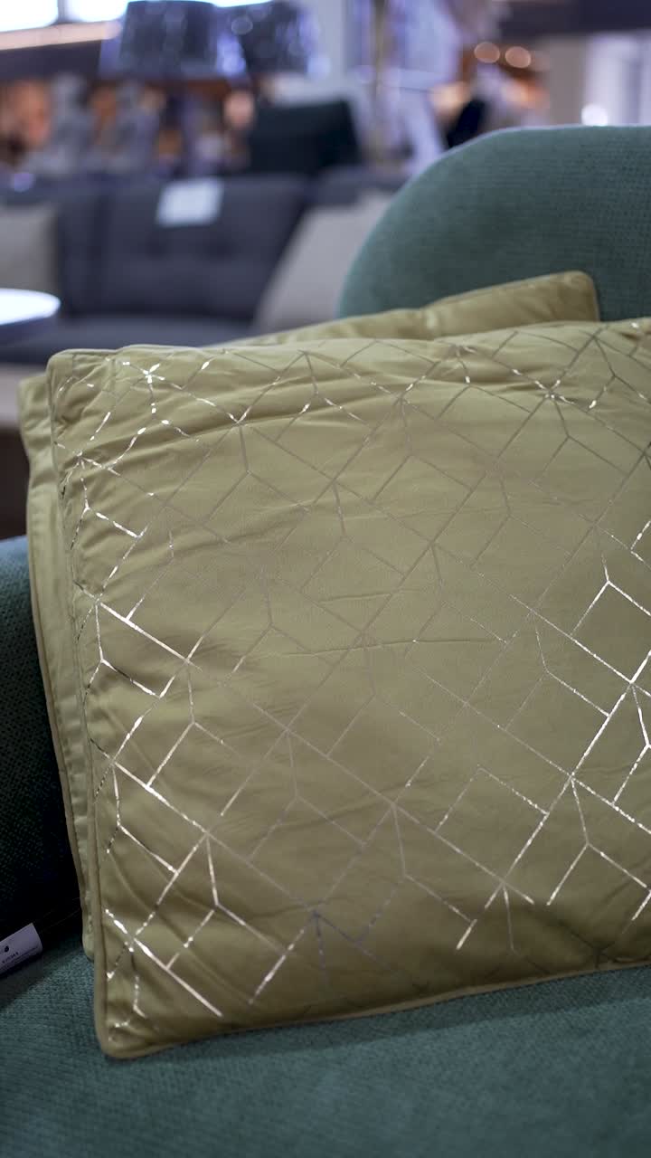 Beautiful decorative pillows rest on a stylish couch in a modern living room. The intricate patterns and textures add elegance to the space, enhancing its overall appeal