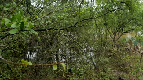 Parque-Inundado-Después-De-Fuertes-Lluvias