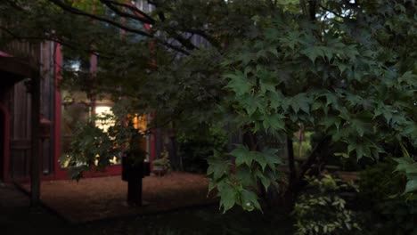 árbol-De-Arce-Mojado-Cerca-De-Un-Granero-Después-De-La-Lluvia