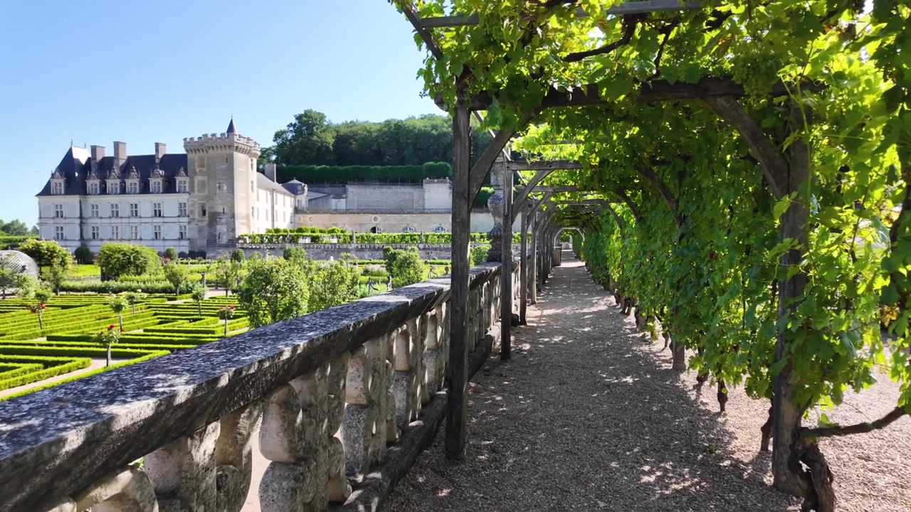 Vista al rallentatore lungo un pergolato ricoperto di viti che si affaccia sui giardini rinascimentali e sul Castello di Villandry nella Valle della Loira, Francia.