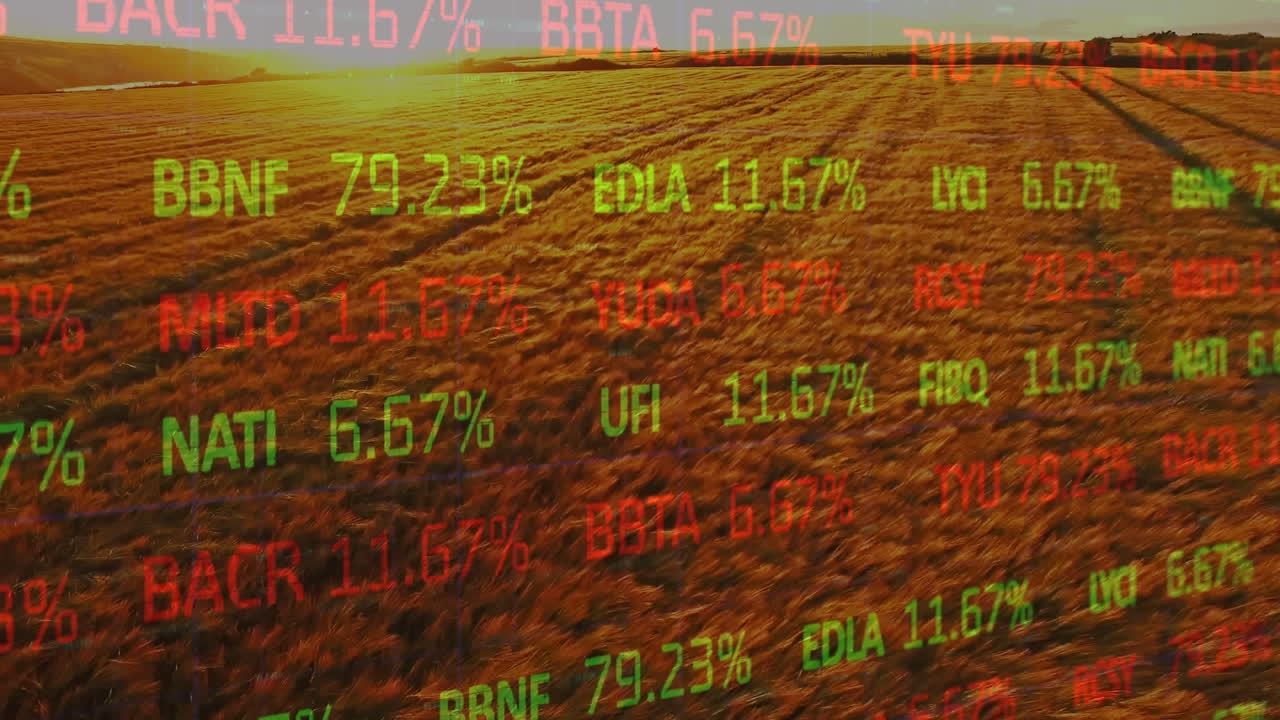 Animation af behandling af finansielle data over et landbrugsområde