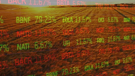 animation of financial data processing over agriculture field