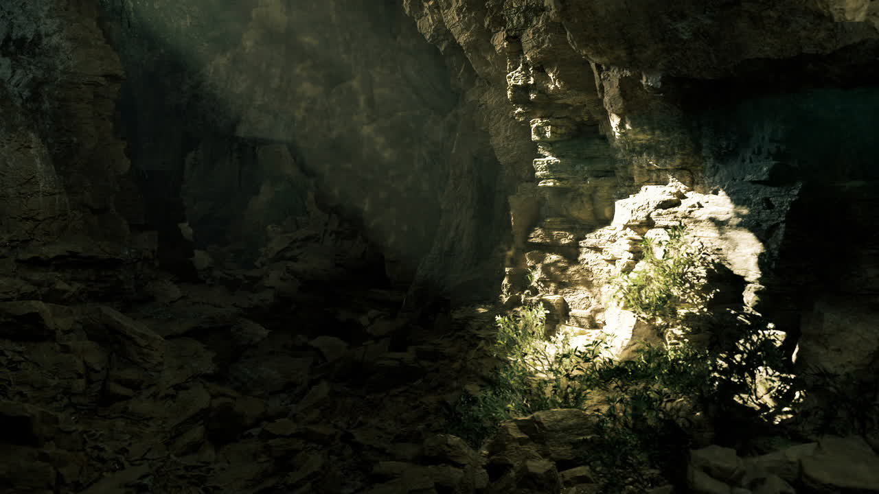 L'illuminazione naturale a chiazze esalta l'atmosfera di tranquilla esplorazione di grotte.