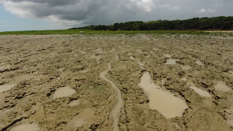 soft and muddy beach in guiana. awala yalimapo village drone view