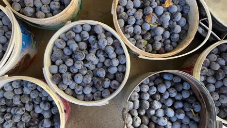 Ciruela-Madura-Dulce-Negra-La-Fruta-Local-Tradicional-Orgánica-En-La-Temporada-De-Cosecha-De-Irán-Proceso-De-Frutos-Secos-Secado-Al-Sol-Para-Mantenerlo-Durante-Todo-El-Año-Ciruela-Seca-Casera-Persa-Para-Usar-En-Cocina-Sabrosa-Fruta-De-Color-Negro