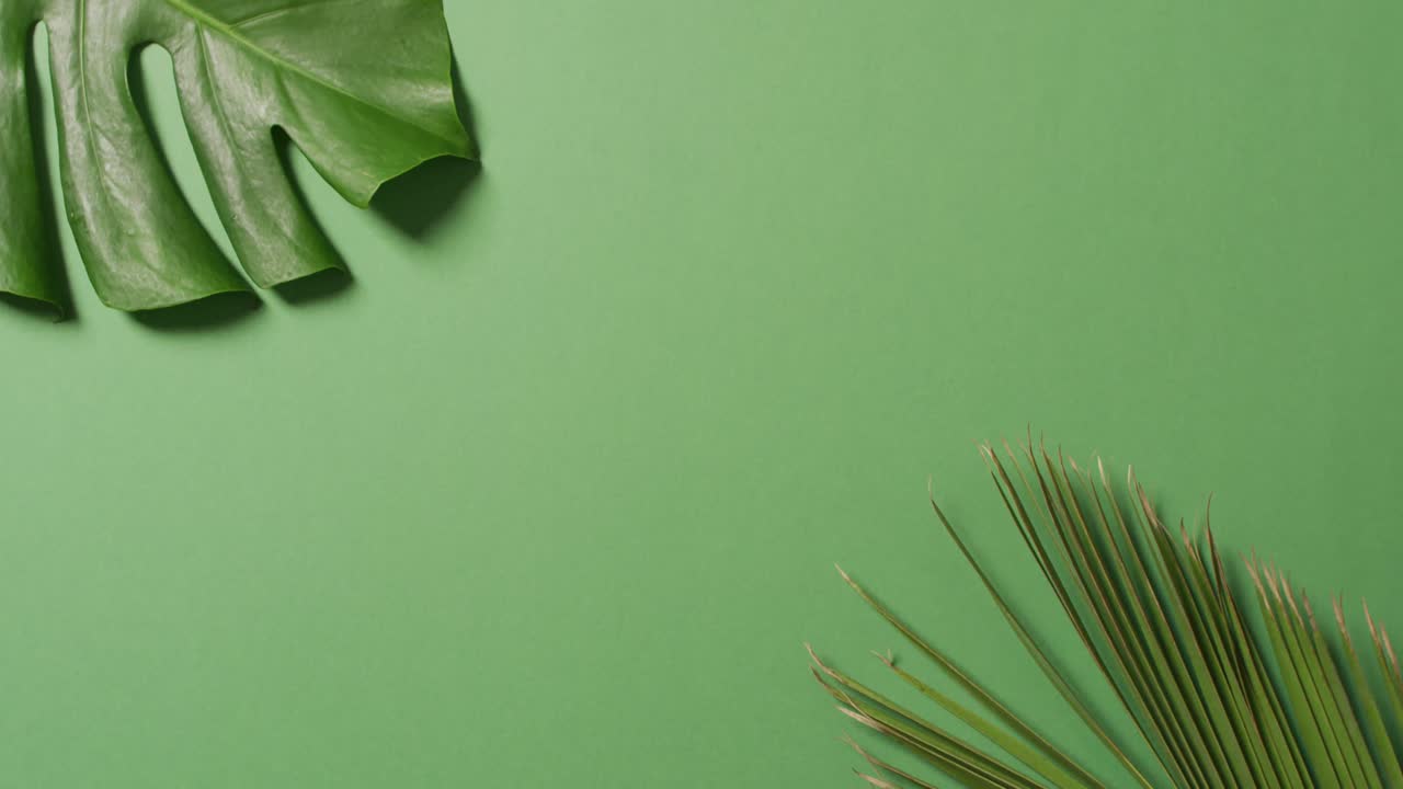 animación de hojas verdes exuberantes sobre fondo verde con espacio de copia