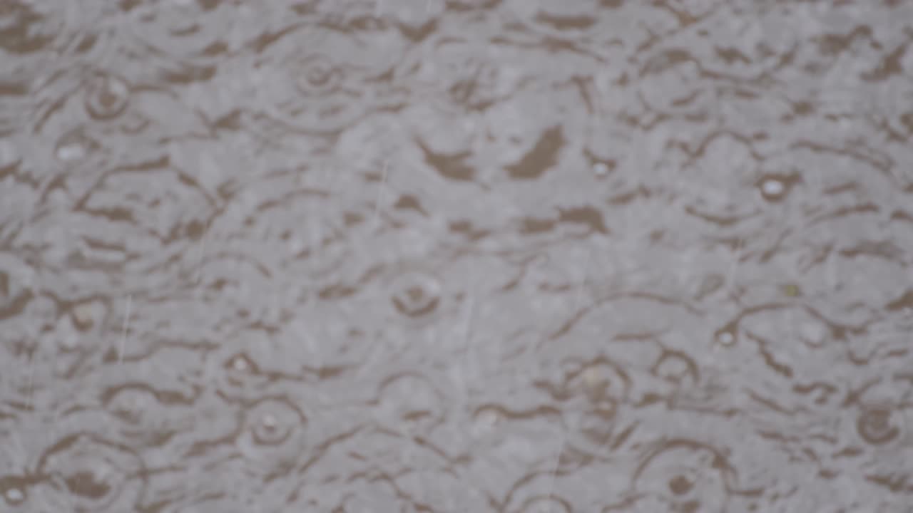 물 표면에 비방울이 어져 있고, 웅이에 흐릿한 반사물이 있습니다.