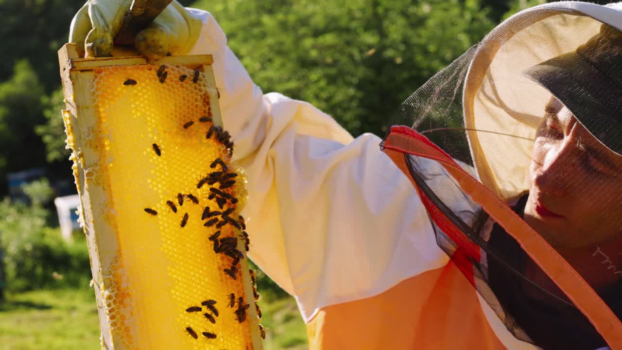 ⁇ 벌 키우는 사람 이  ⁇ 벌 을 점검 하고 있다