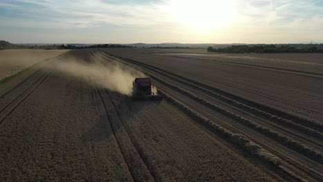 Aerial-View-of-Combine-Grain-Harvester-in-Agricultural-Field-on-Golden-Hour-Sunlight,-Drone-Shot