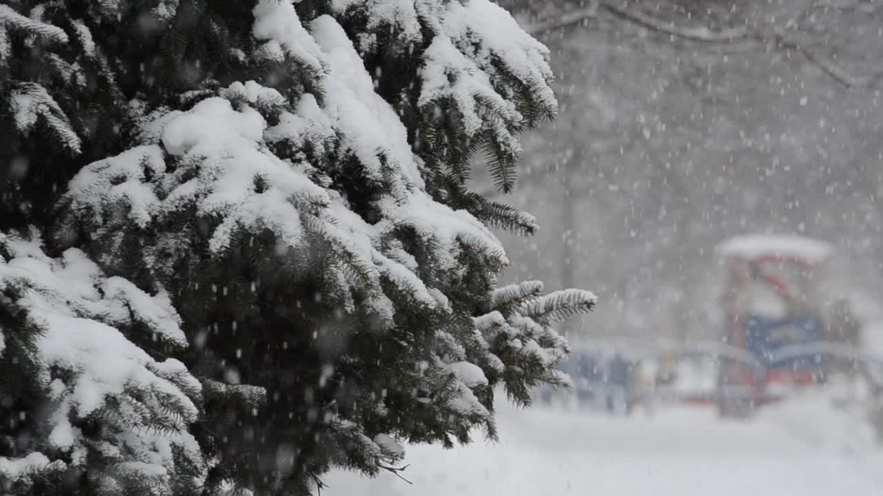 blizzard