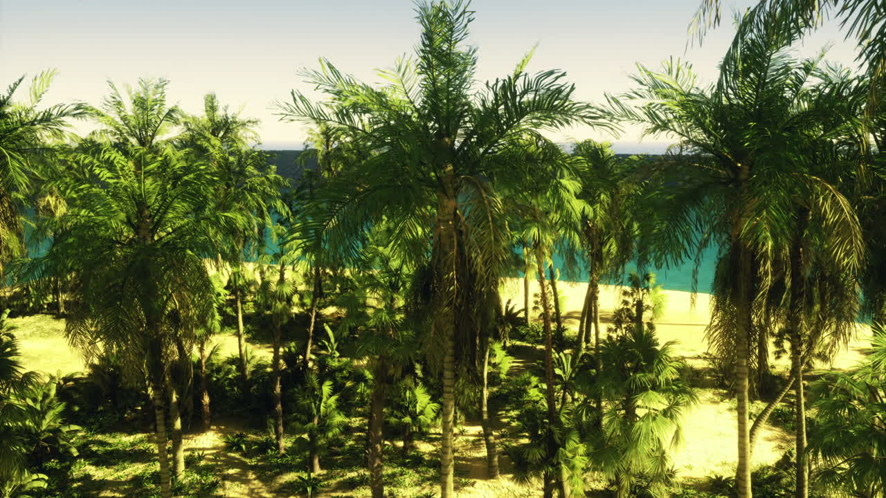 Lush tropical landscape with palm trees and serene beach view