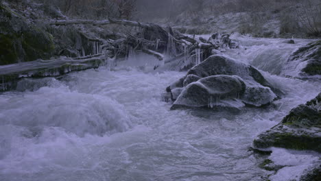 swirling streams of a mountain river in winter, wood brought by the river and frozen, rocky shore