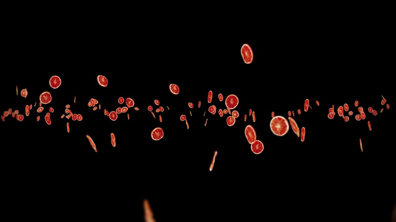 검은 바탕에 많은 건조 오렌지를 날아. 탈수 된 과일, 음식 개념. 3d 애니메이션 조각 된 과일 오렌지 회전. 루프 애니메이션.