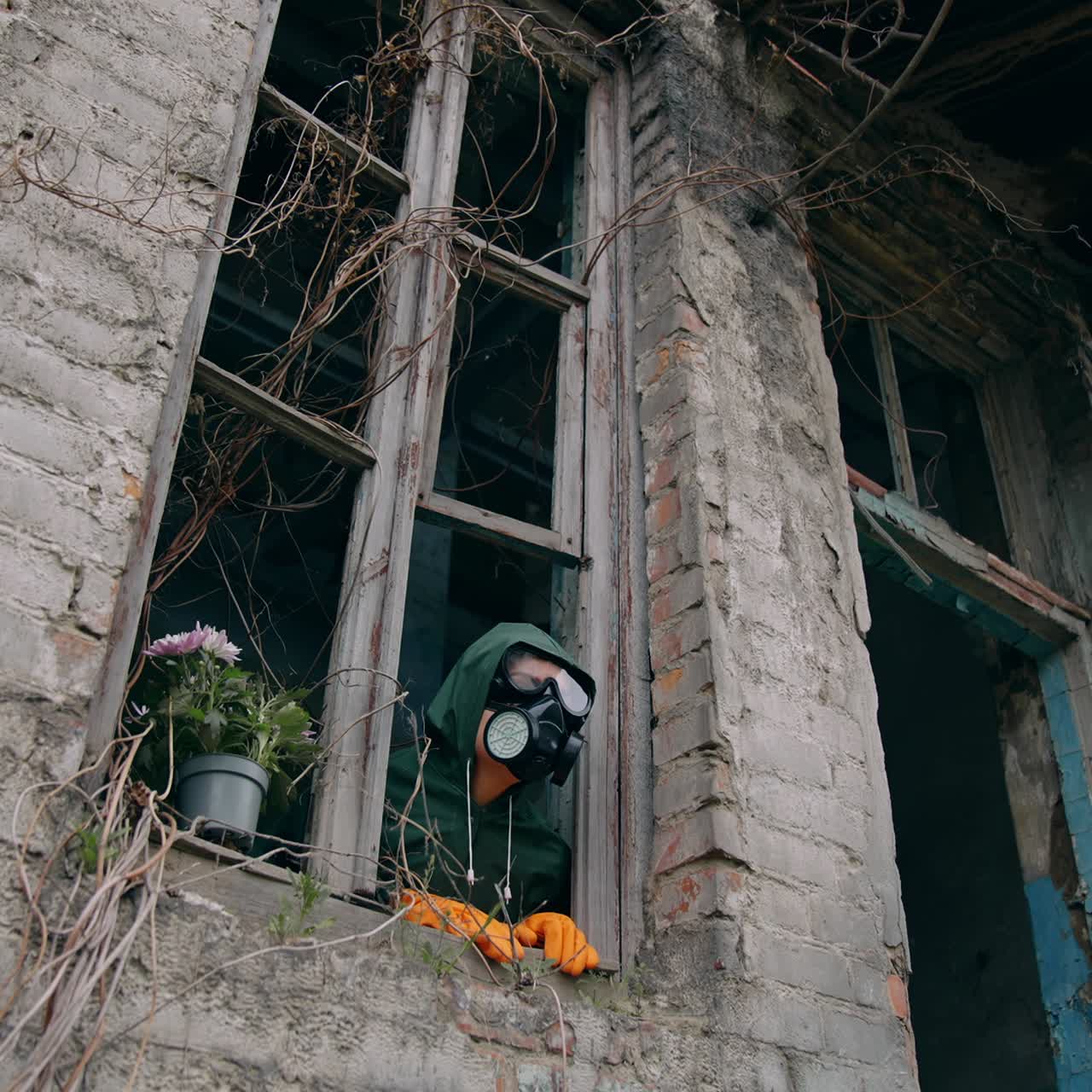 Ecologist inside the ruined building. Scientist in safety gas mask looking out of the window from abandoned building. Flowers in flower pot in window sill