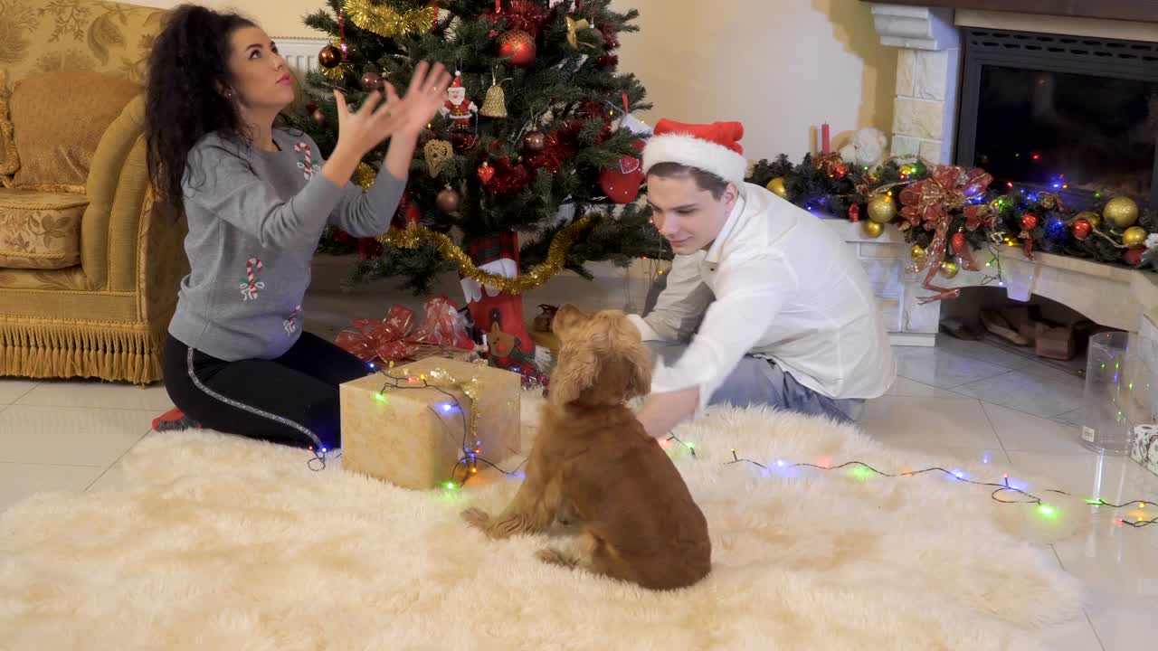 사랑 에 빠진 행복 한 커플 과 개 는 크리스마스 트리 근처 에서 휴식 을 한다