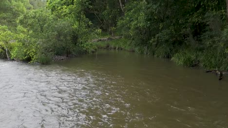 a serene river bend surrounded by dense green foliage and calm waters.