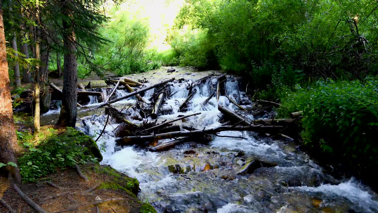 Static scenic nature video of a stream in Breckenridge Colorado. Water is flowing through a debris pile of logs