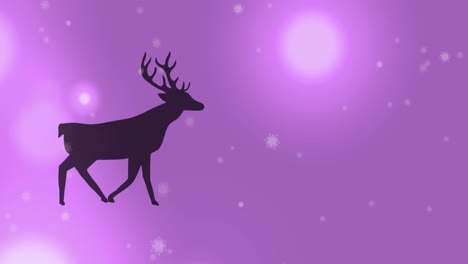 animación digital de la silueta negra de renos caminando contra puntos de luz