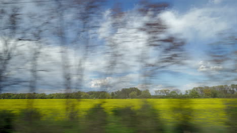 Vista-Desde-La-Ventana-Del-Tren-A-Caballo-Del-Paisaje-Campestre-Contra-El-Cielo-Nublado