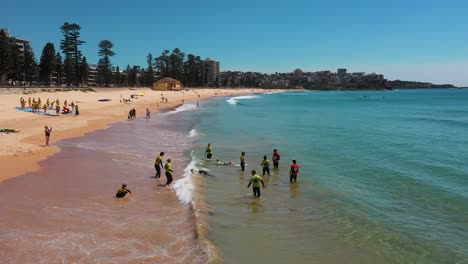 tourists playing in ocean and swimming in waves at manly beach during surf lesson catching waves, sydney, australia