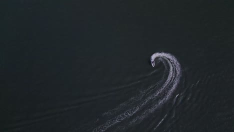 aerial view of a boat elegantly navigating the waters of princess louisa inlet, bc, canada, nestled within its grand fjord, epitomizing the idea of tranquil discovery amid breathtaking natural beauty