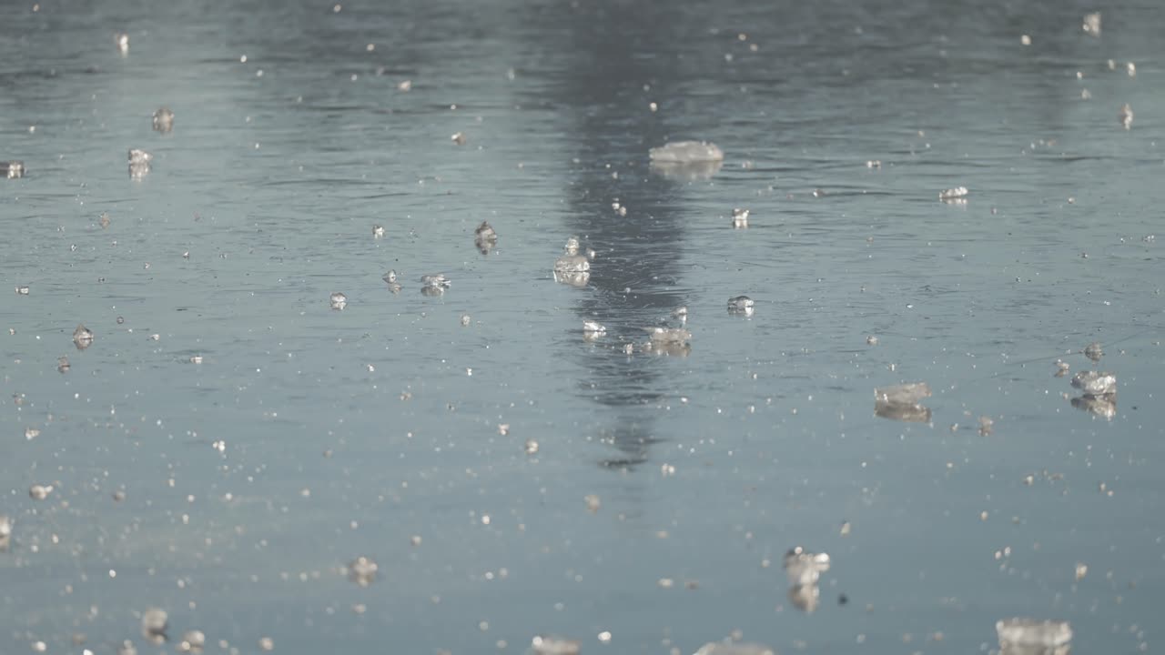 Close-up of Ice Shards Floating on Water