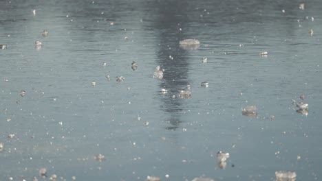 close-up of ice shards floating on water