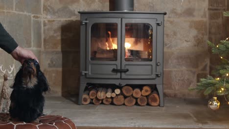 stroking dog in front of fire