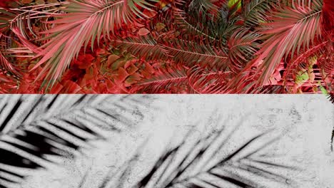 a shadow of tropical palm leaves on white concrete wall with red jungle foliage frame. nature inspired template background. summer vacation and exotic botanical concept. design for banner. vertical