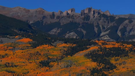 fall autumn auburn full peak colors castle mountain aerial drone ohio kebler swampy pass crested butte colorado aspen trees gunnison national forest morning sunny blue sky circle right parallax pan