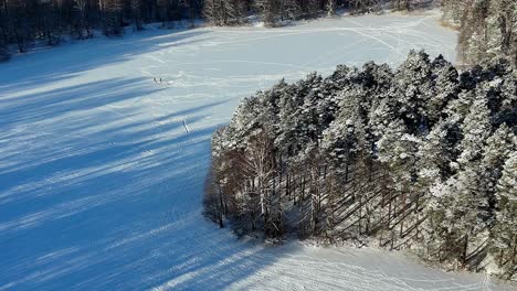 a group of people standing in a snowy field, next to a line of pine trees
