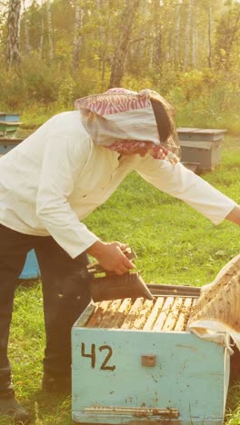 beekeeper inspecting and maintaining beehives