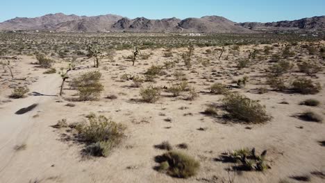 drone aéreo disparado cerca del suelo en el parque nacional joshua tree en california