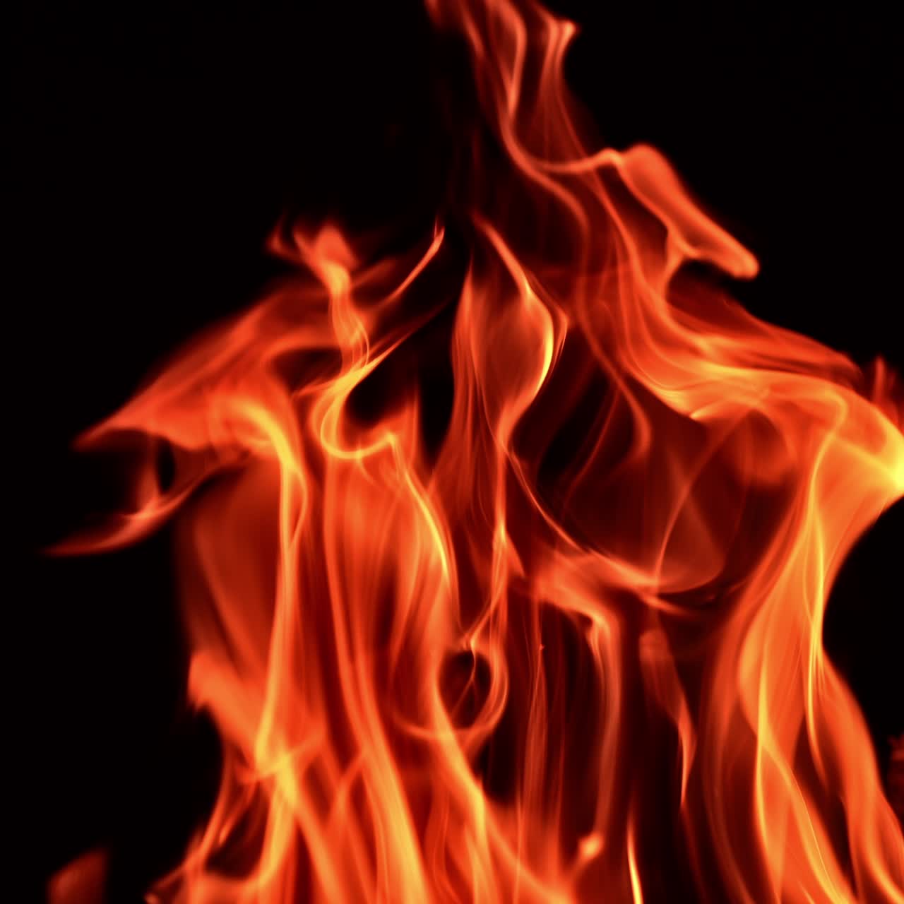 Beautiful red and orange flames of burning fire. Blaze isolated at black backdrop. Close up