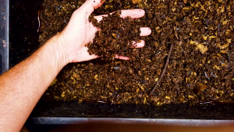 reciclaje de residuos orgánicos de cocina mediante compostaje en caja negra