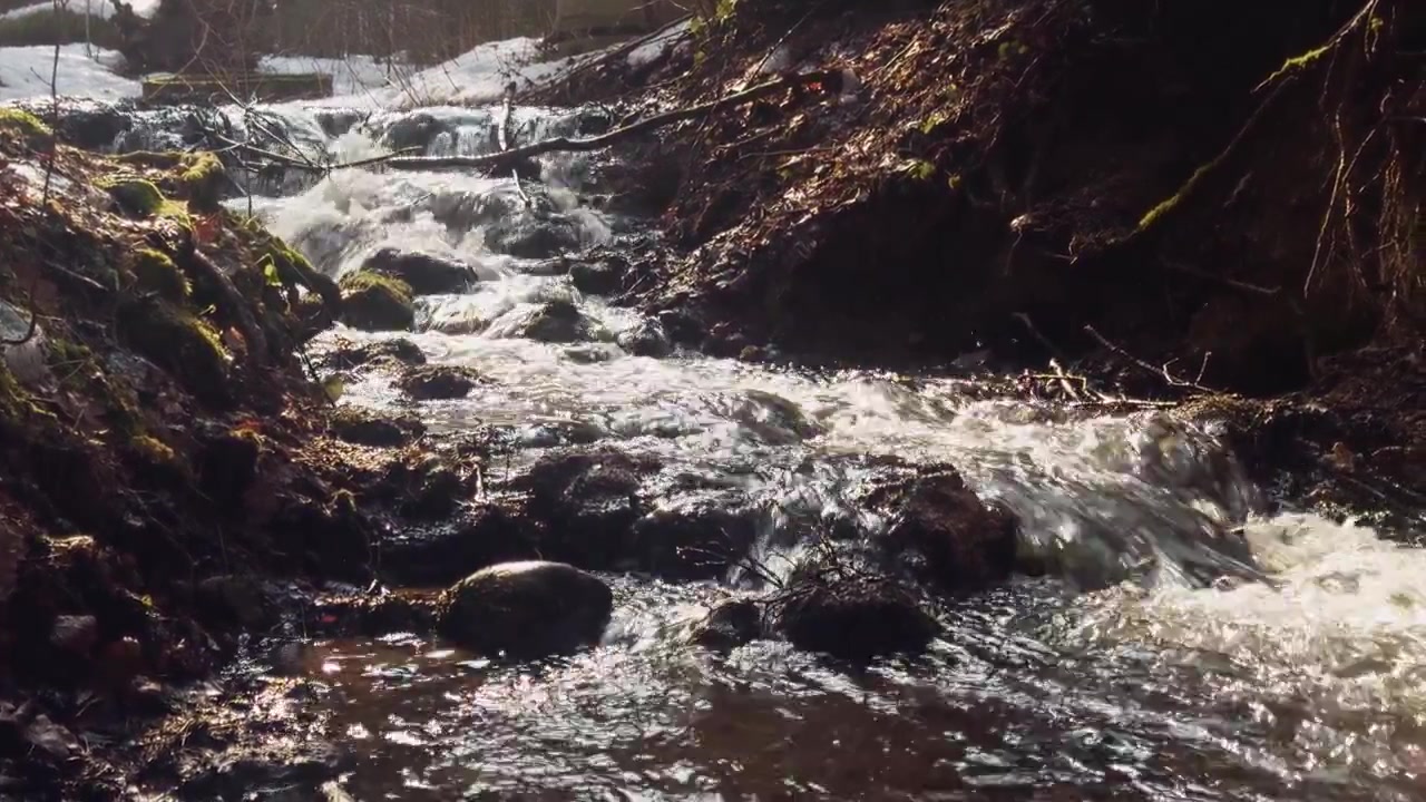 Guarda come il vivace ruscello scorre rapidamente, trasportando neve sciolta e vita primaverile. La luce del sole illumina a chiazze l'acqua, creando un bellissimo gioco di luci e suoni nella serena foresta.