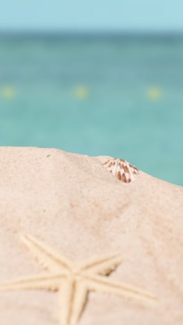 Vertical-Summer-Holiday-Concept-With-Shells-Starfish-On-Sandy-Beach-In-Foreground-Against-Sea