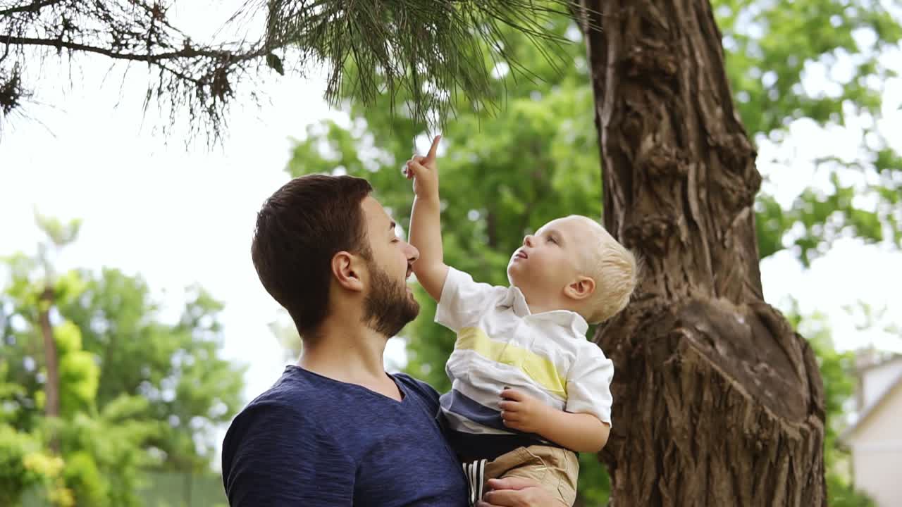 un joven padre con una camiseta azul y una barba le muestra a su curioso hijo un árbol de coníferas con agujas. lo sostiene en sus brazos.