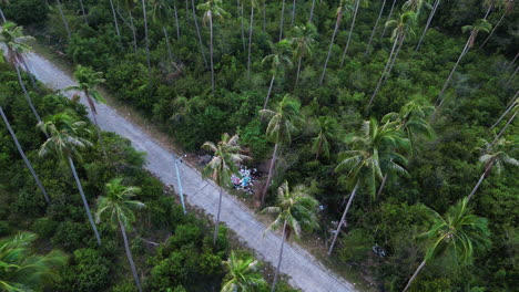 aerial shot of litter along rural road in tropical palm tree forest