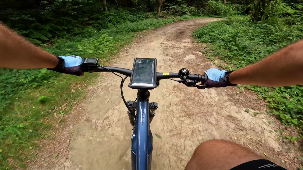 Mountain Biking on a Forest Trail