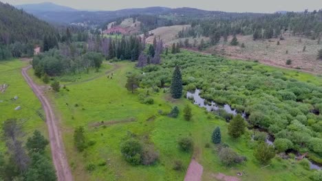 Drone-footage-of-cowboys-on-horseback-riding-behind-trees-in-the-Rocky-Mountains