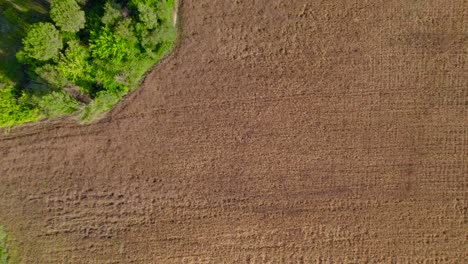 Top-down-aerial-view-of-agricultural-wheat-field-in-France