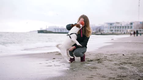 joven jugando con el perro jack russell en la playa cerca del mar, en cámara lenta