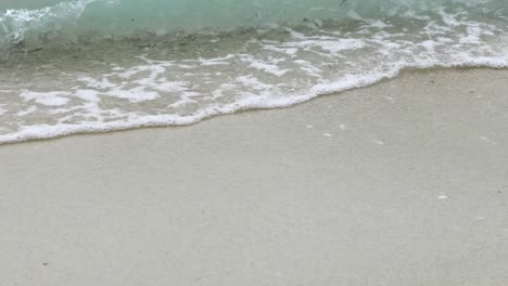 coastal waves on sandy beach
