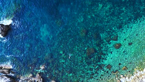male tourist swimming in the transparent waters of a bay in ibiza, spain. majestic aerial view flight vertical bird's eye view drone