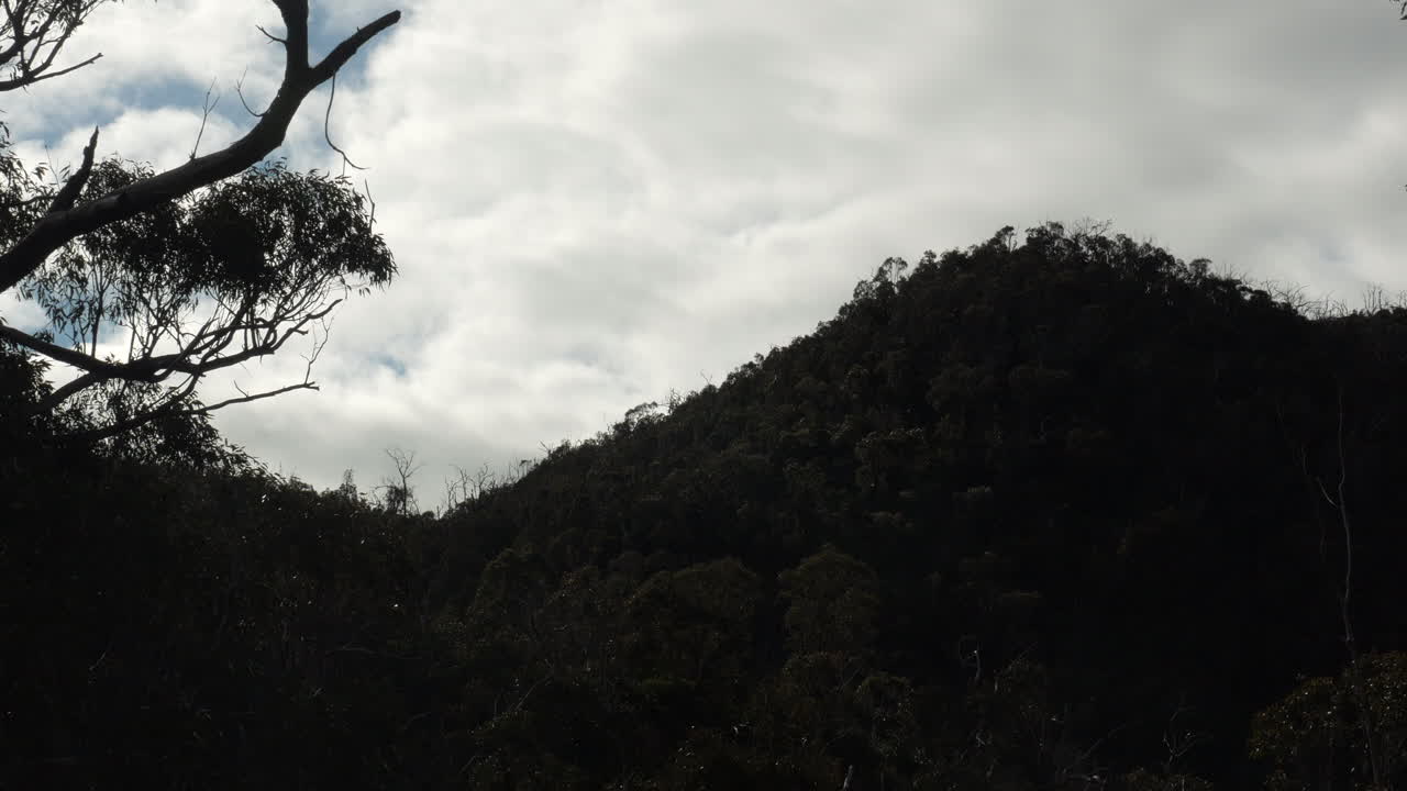 브리즈번 산맥, 호주. 빠른 동작