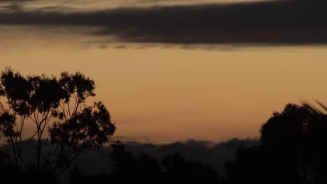 australian sunset time-lapse gum trees big rolling clouds australia, victoria, gippsland, maffra