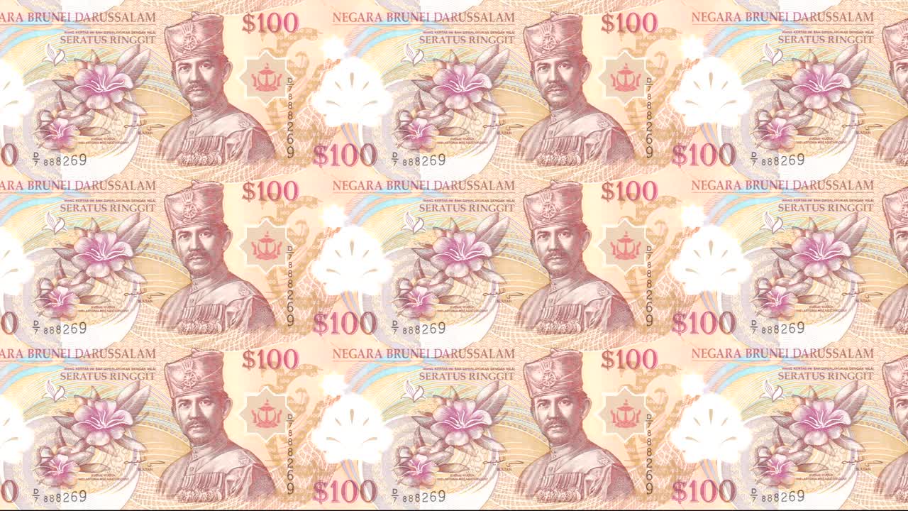 브루나이 다루살람 술탄국 은행의 100 링기트 또는 브루네이 달러 지폐, 화면에 굴러, 세계 동전, 현금, 루프