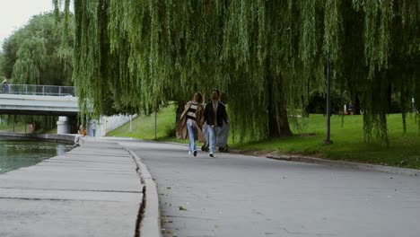 pareja caminando en el parque